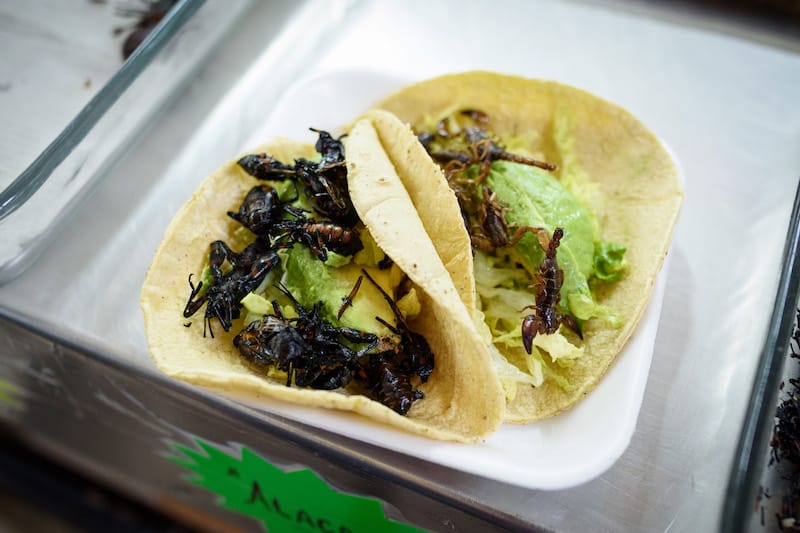 Tacos topped with alacranes, or scorpions, at Productos Prehispánicos Álvarez in Mercado San Juan Pugibet, photo by PJ Rountree