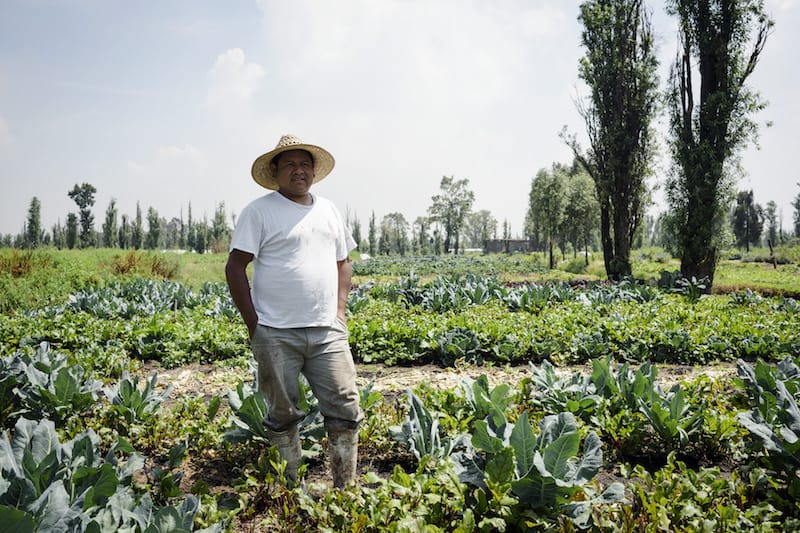 Noé Coquis at his family’s chinampa in Xochimilco, photo by PJ Rountree
