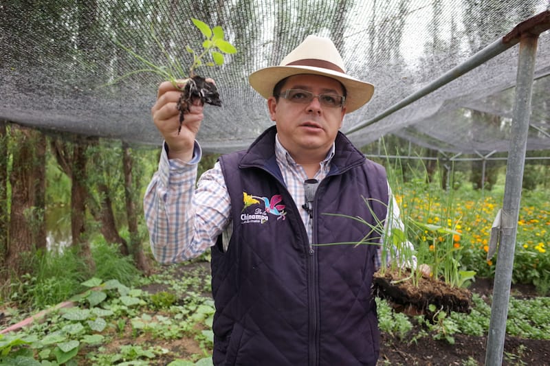 Ricardo Rodríguez, the director of De la Chinampa, photo by Yigal Schleifer