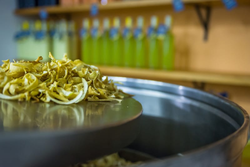 Lemon peels before soaking in boiled sugar and alcohol for forty days to make limoncello, photo by Kristin Melia