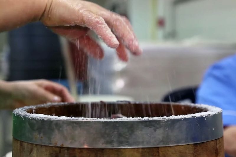Preparing colatura di alici by hand at Delfino Battista in Cetara, photo by Delfino Battista