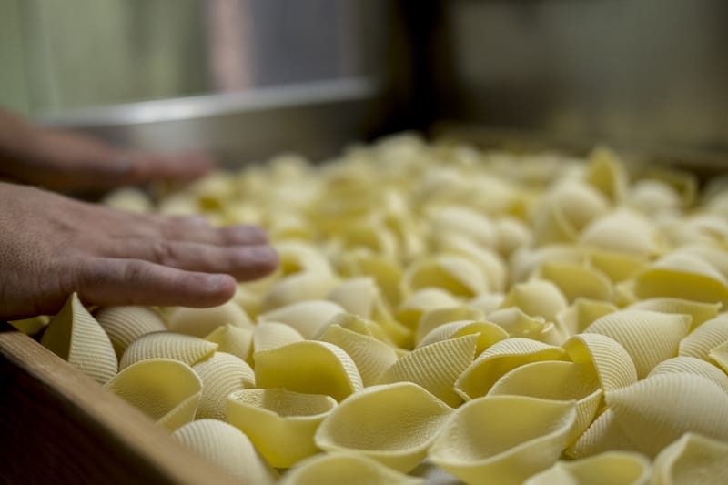 Pastificio Faella's conchiglioni pasta, photo by Pastificio Faella