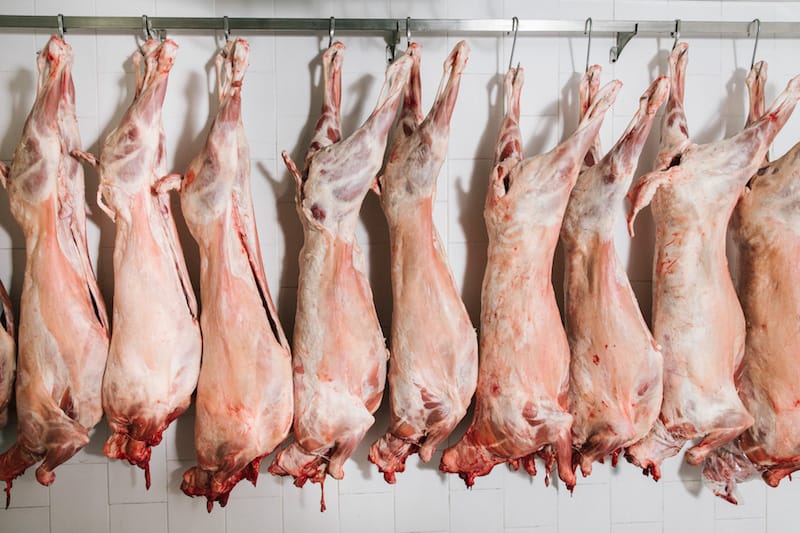 Macelleria Iavarone sells thousands of goats in the lead-up to Easter, photo by Gianni Cipriano and Sara Smarrazzo