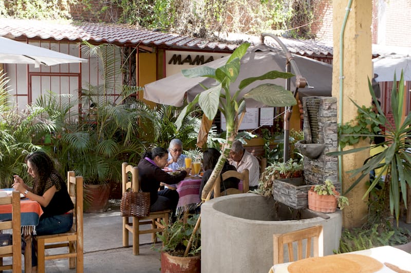 Surrounding a large pochote tree outside Mamá Lechuga sit wooden tables and chairs, photo by Ben Herrera