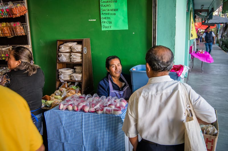 Doña Priscila, one of Oaxaca’s most respected nicuatoleras, photo by Jalil Olmedo
