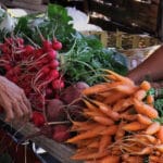 Pochote Reforma: Oaxaca Organic