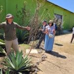 Saving Mezcal: Mexico’s First Agave Seed Bank