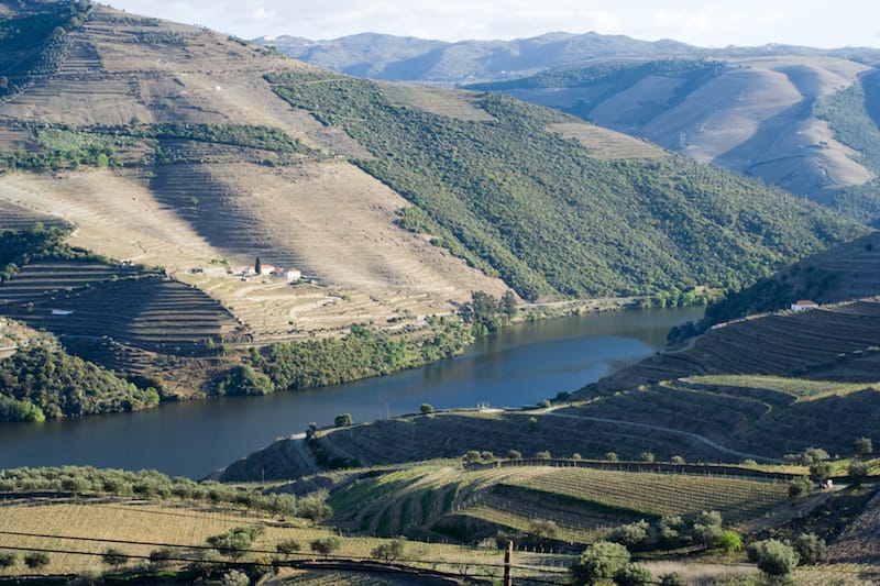 The Duoro Valley, photo by Marco Varisco (Wikimedia Commons)