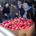 It’s Pomegranate Season, Even in Queens