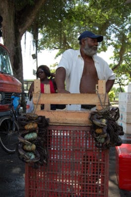 Gilvenal, a fisherman, selling his crab catch at the Feira da Glória, photo by Taylor Barnes