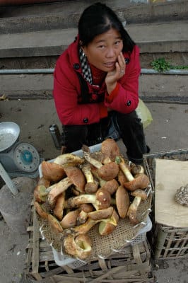 Porcini for sale in Yunnan, photo by Lillian Chou