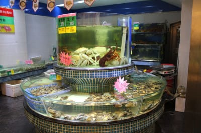 Seafood tanks at Tang Palace, photo by UnTour Shanghai