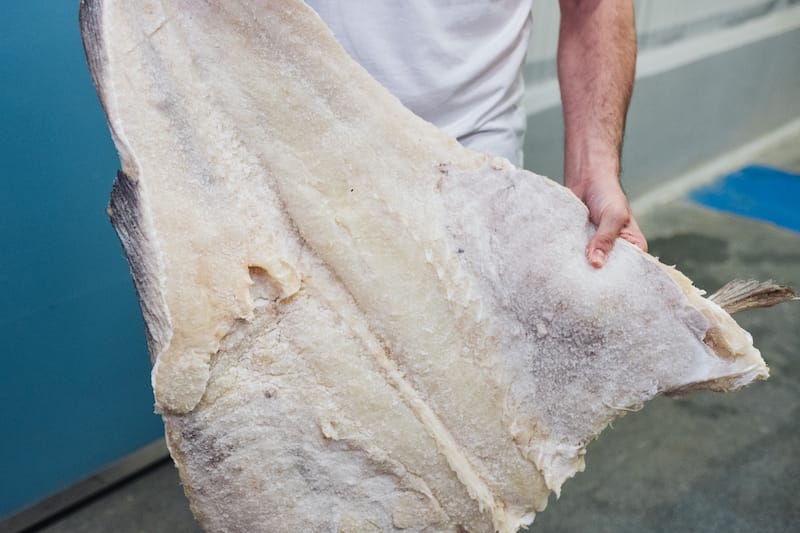 Baccalà at Scanfish, one of Somma Vesuviana’s cod import businesses, photo by Carlo Rainone