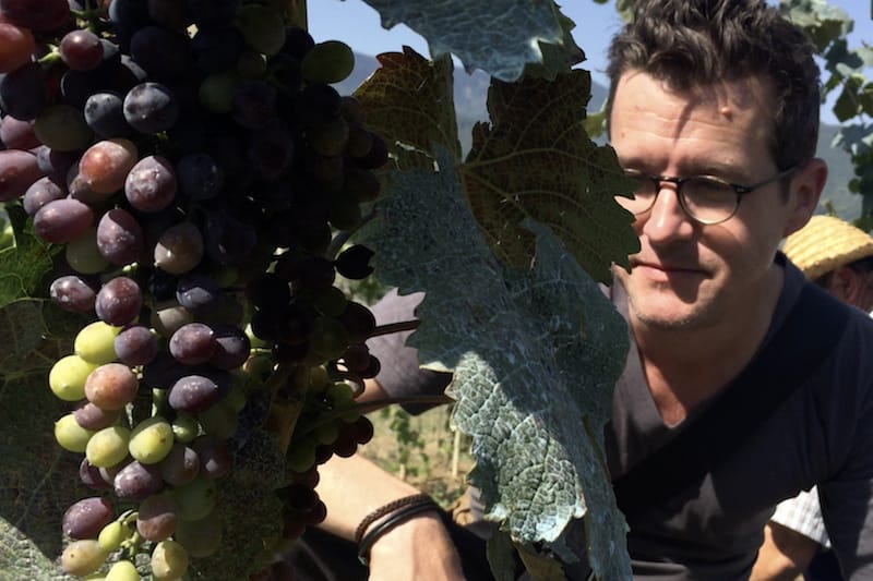 Sommelier Jeremy Quinn inspecting ripe grapes. © Emily Railsback c/o Music Box Films