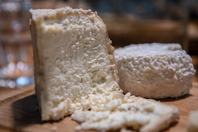Two types of cheese made by Marleta, photo by Justyna Mielnikiewicz