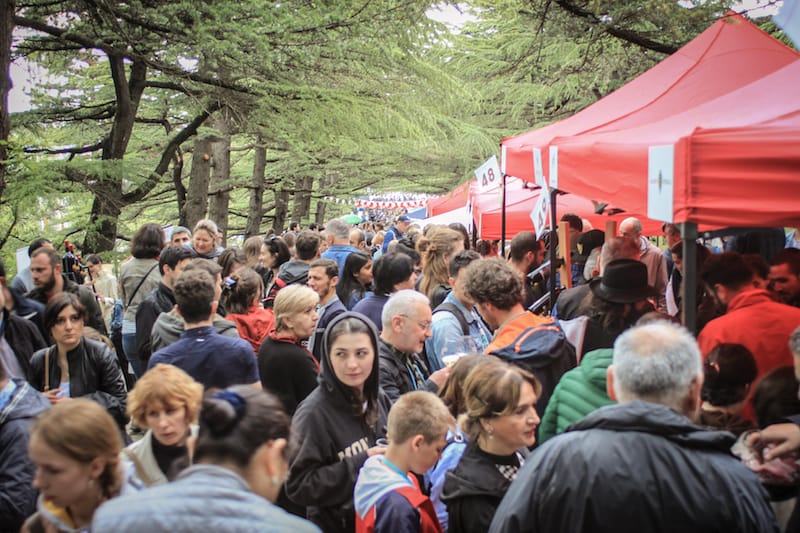 A portion of the crowd at the New Wine Festival 2018, photo by Paul Rimple