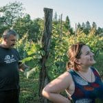 Wine Harvest 2019