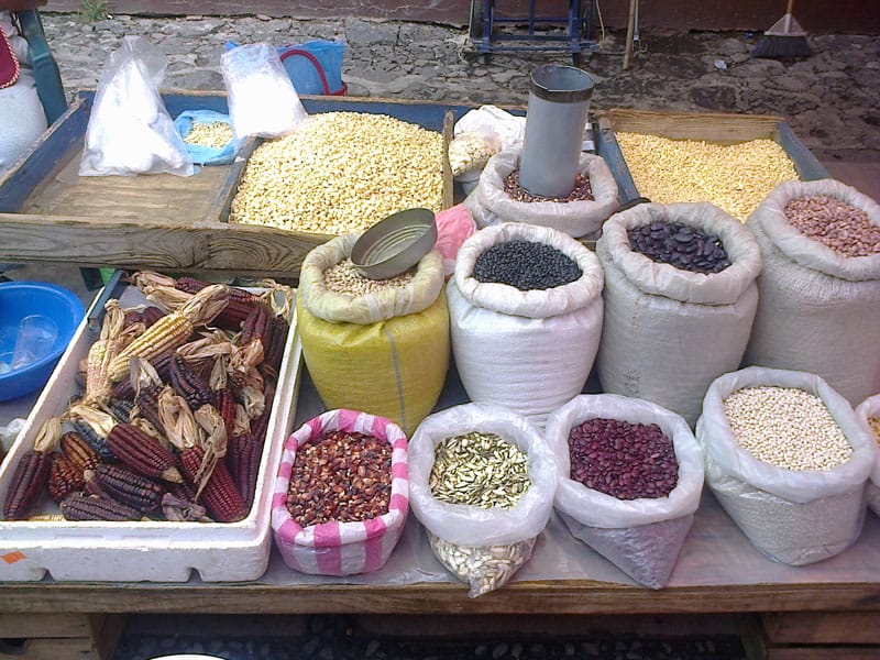 Corn at the Tepoztlán tianguis, photo by Margret Hefner