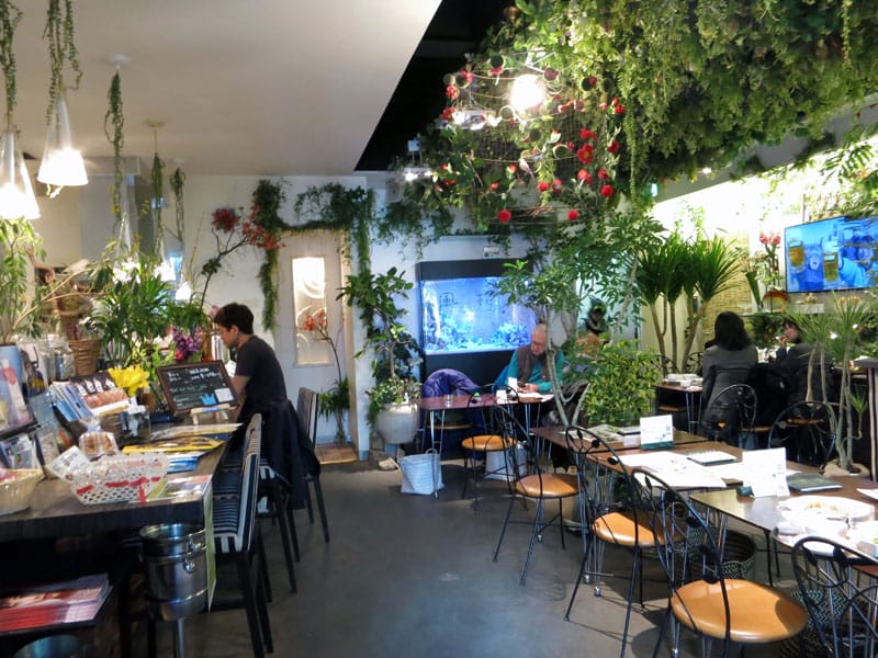 Kaza Hana Café, photo by Fran Kuzui