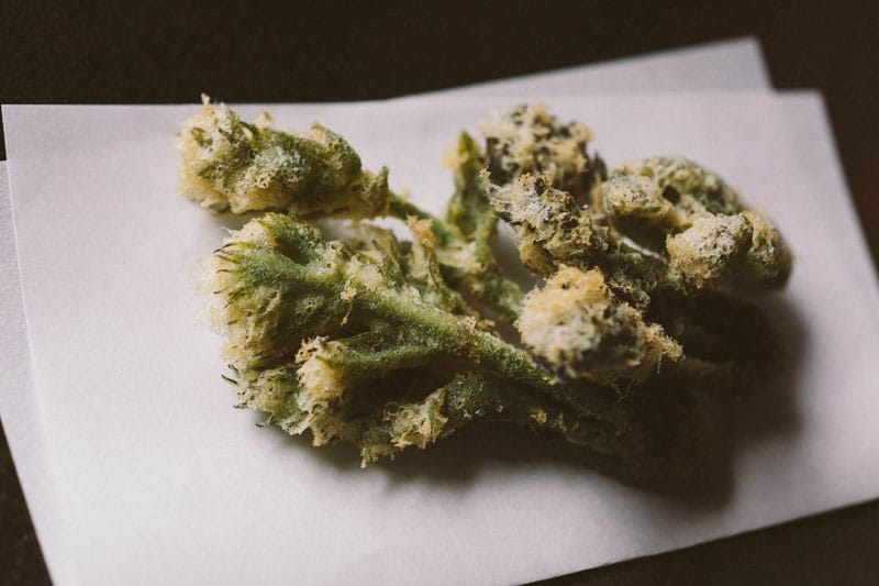 Taranome tempura, photo by Prairie Stuart-Wolff
