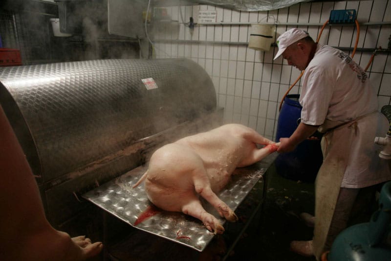 vienna s last butcher operated slaughterhouse culinary backstreets