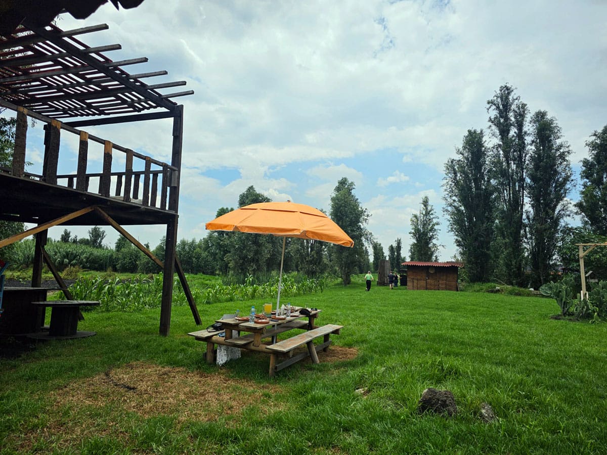 Learn all about the unique agricultural system of Xochimilco