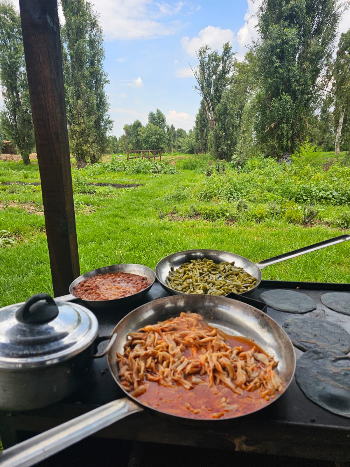Enjoy freshly made dishes that are truly farm-to-table